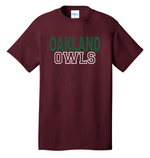 Load image into Gallery viewer, Oakland Owls Tee (Block)
